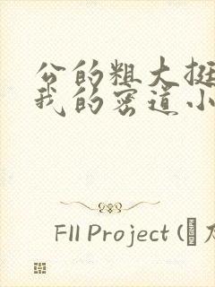 公的粗大挺进了我的密道小说