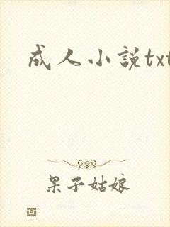 成人小说txt