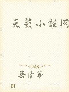 天籁小说网封面