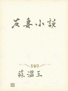 友妻小说封面