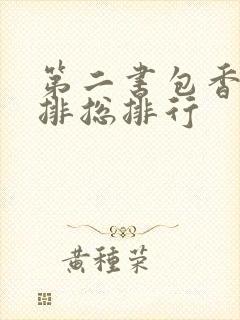 第二书包香辣肉排总排行