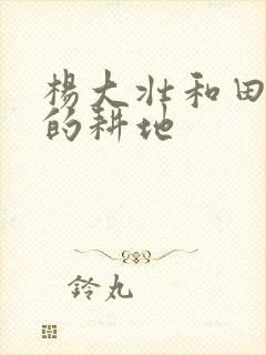 杨大壮和田桂花的耕地