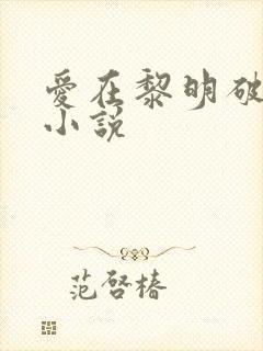 爱在黎明破晓前小说