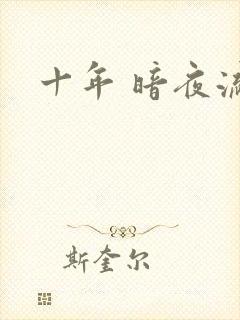 十年 暗夜流光