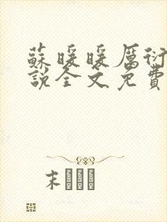 苏暖暖厉衍琛小说全文免费阅读