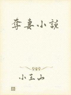 夺妻小说
