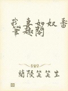我妻如奴番外篇笔趣阁