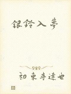 银铃入梦封面