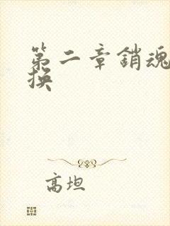 第二章销魂的交换