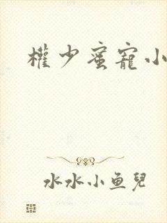 权少蜜宠小娇妻封面