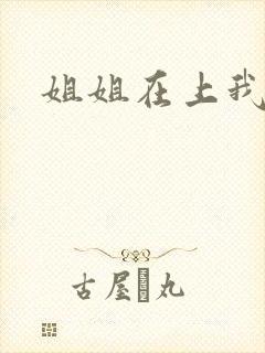 姐姐在上我在下