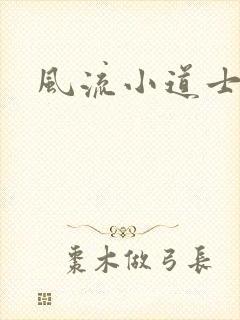 风流小道士封面