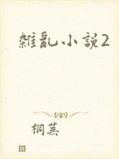杂乱小说2
