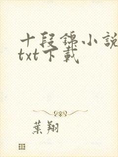 十段锦小说全本txt下载