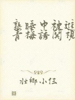 熟睡中被进了H青梅诱哄视频