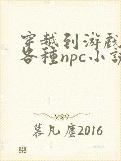 穿越到游戏里和各种npc小说