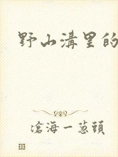 野山沟里的村庄