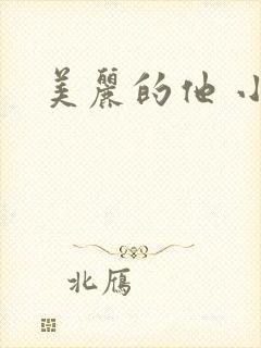 美丽的他 小说