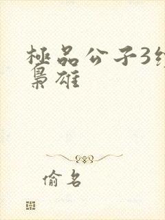 极品公子3续世枭雄