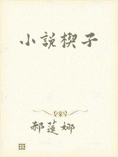 小说楔子