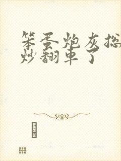 笨蛋炮灰总被爆炒翻车了