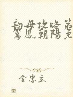 韵母攻略第二部鸾凤朝阳免费阅读封面