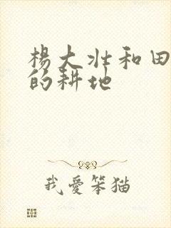 杨大壮和田桂花的耕地