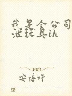 我是全公司的发泄玩具ih