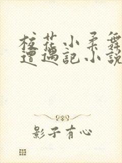 校花小柔舞蹈室遭遇记小说