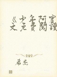 《少年阿宾》全文免费阅读