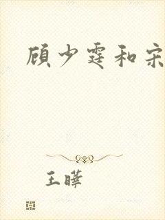 顾少霆和宋斯曼封面