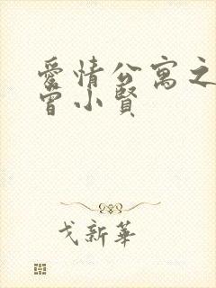 爱情公寓之极品曾小贤