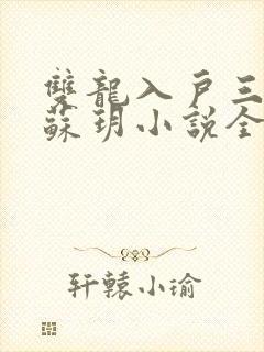 双龙入户三人行苏玥小说全文阅读