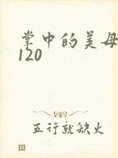 掌中的美母版主120