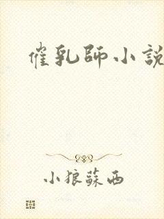 催乳师小说