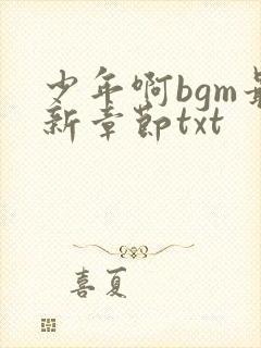 少年啊bgm最新章节txt封面