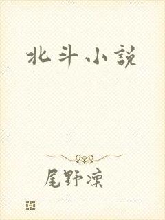 北斗小说