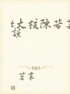 t大校陈若芸小说封面