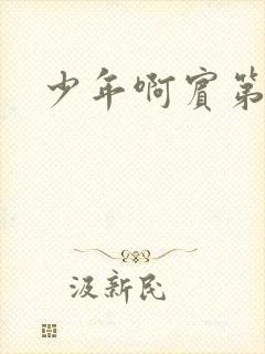 少年啊宾第二部