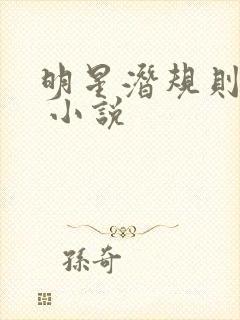 明星潜规则之皇 小说