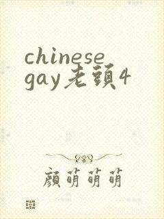 chinesegay老头4