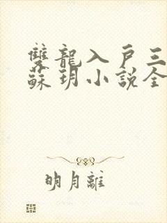 双龙入户三人行苏玥小说全文阅读