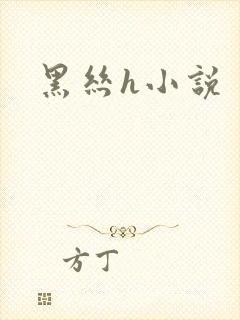 黑丝h小说
