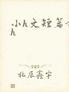 小h文短篇合集h封面