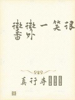 微微一笑很倾城番外封面