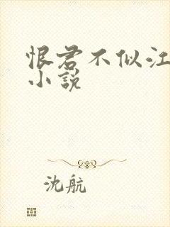 恨君不似江楼月小说