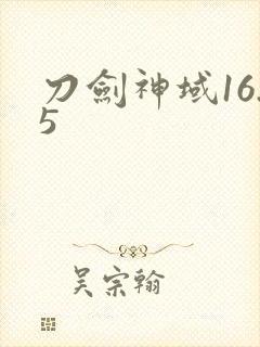 刀剑神域16.5