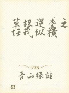 草根逆袭之都市任我纵横封面