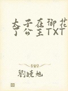 太子在御花园要了公主TXT封面