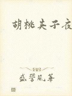 胡桃夹子夜未眠